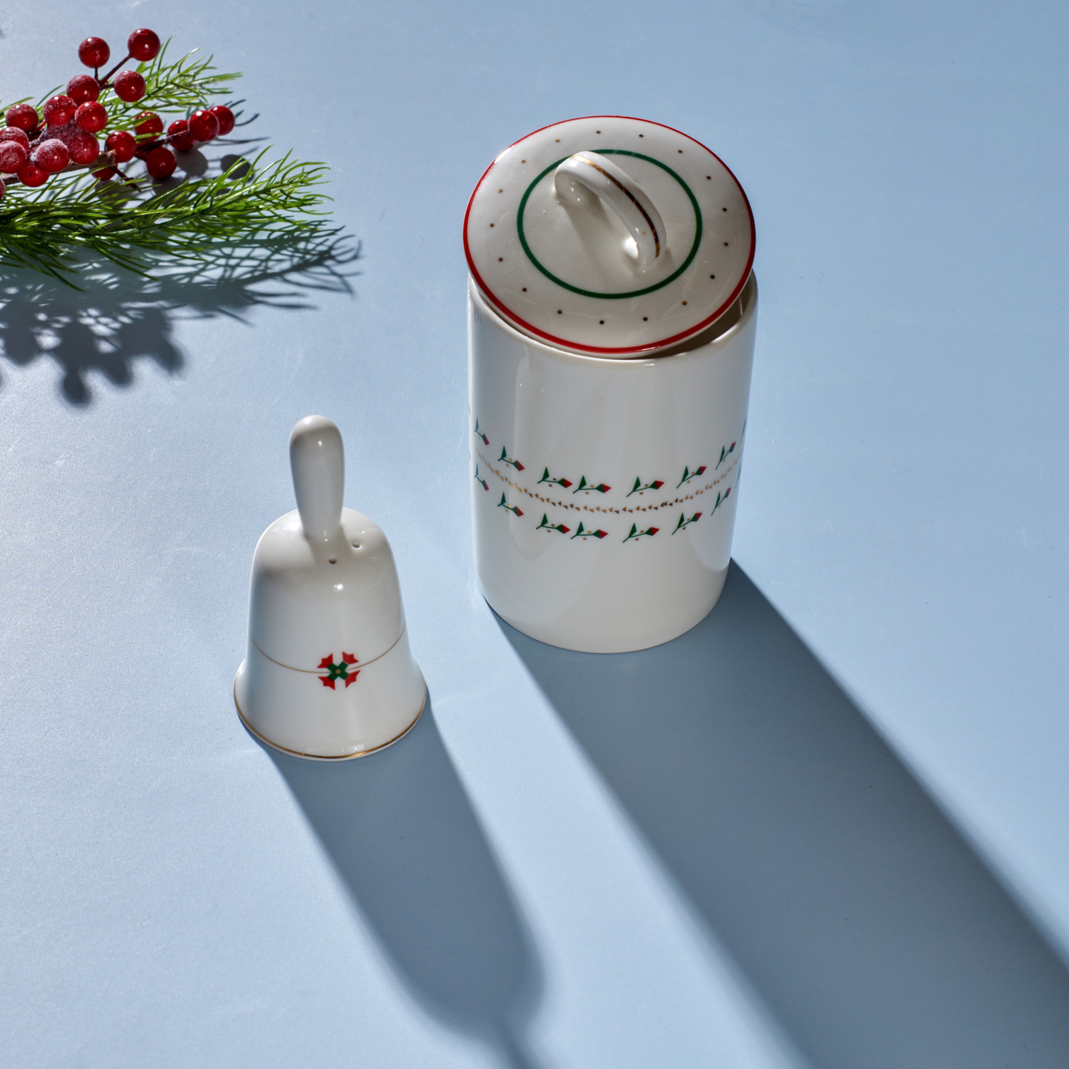 Poinsettia lights gift set