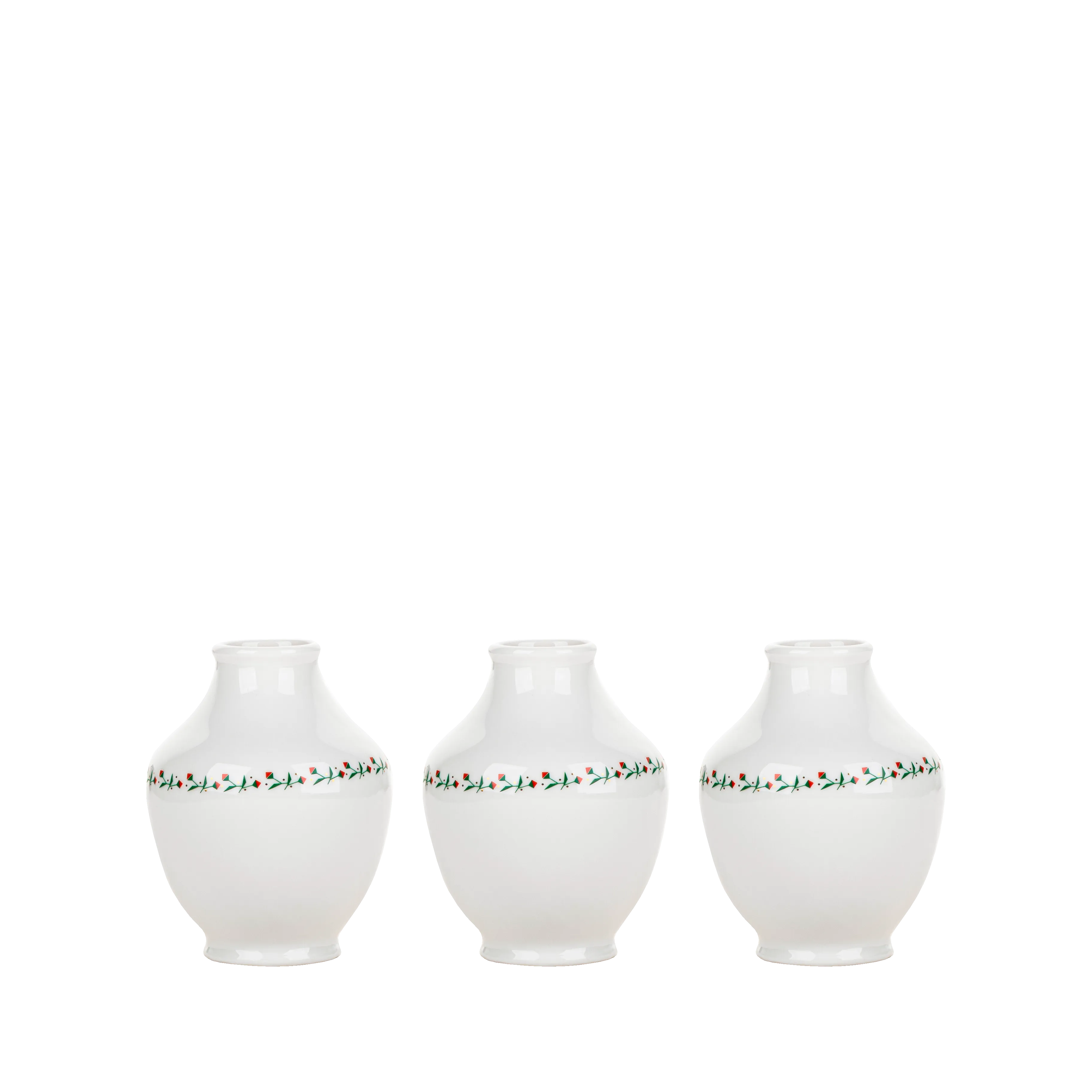 Poinsettia lights decor set